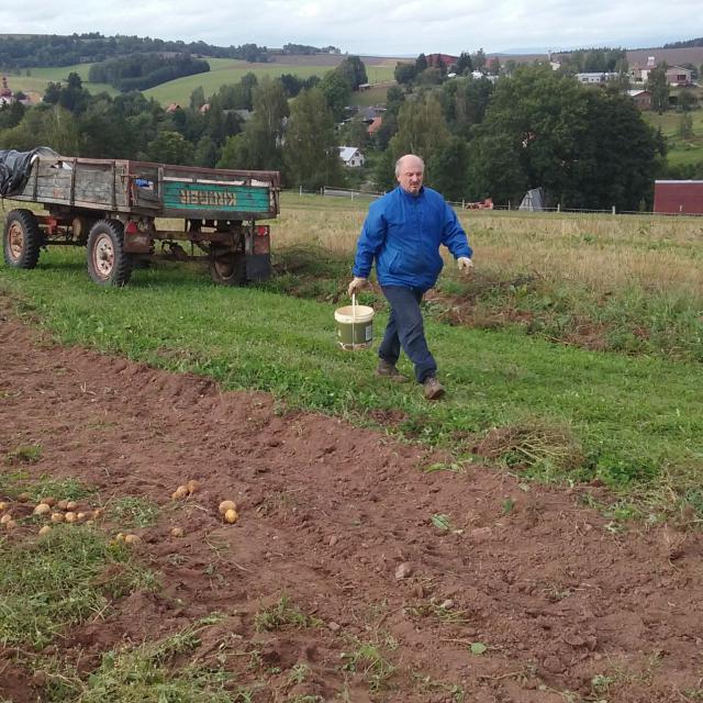 HARVEST POTATO IN A NEW VS AHEAD