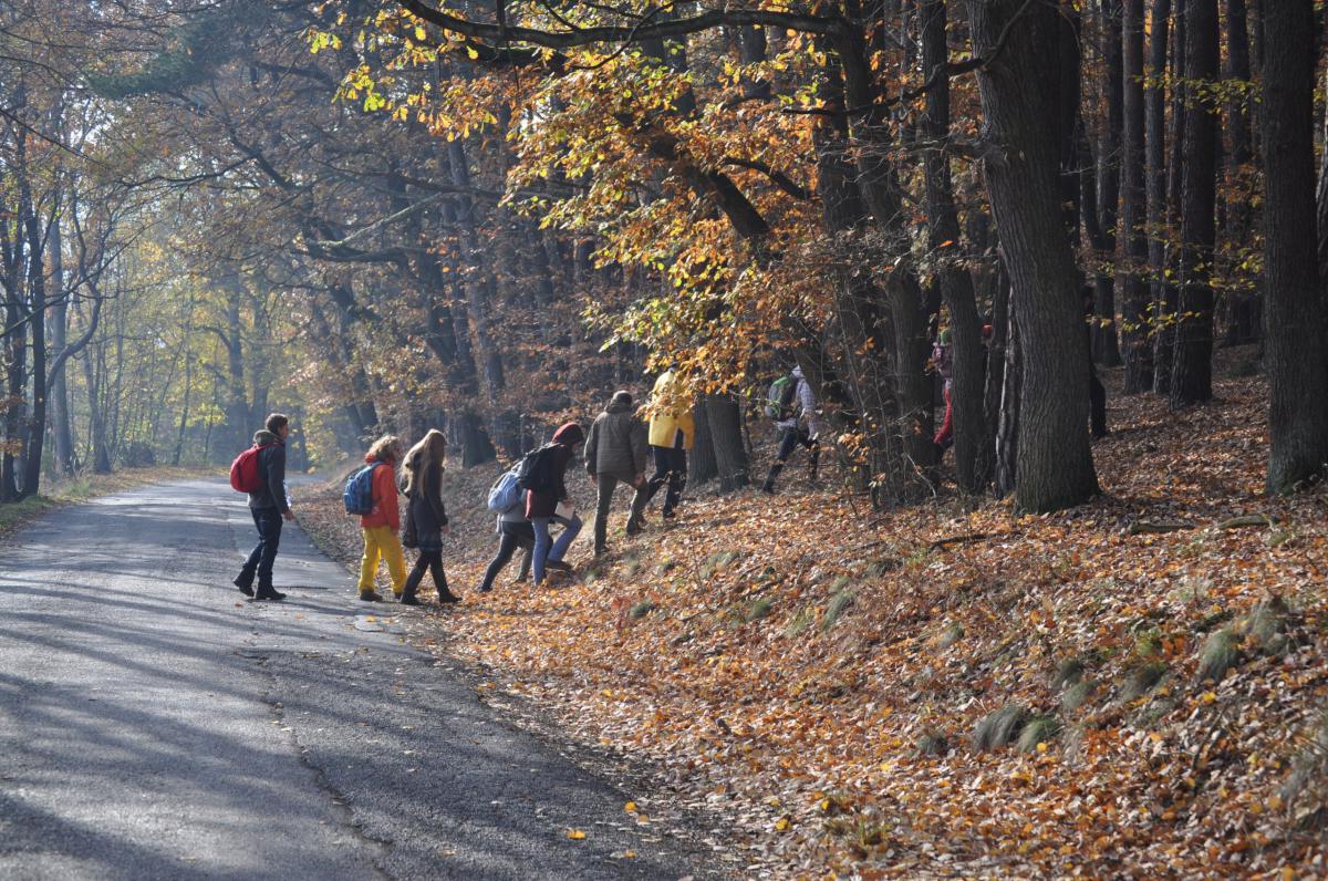 Denní studenti, předmět Člověk jako tvůrce vlastního osudu, Voděradské lesy