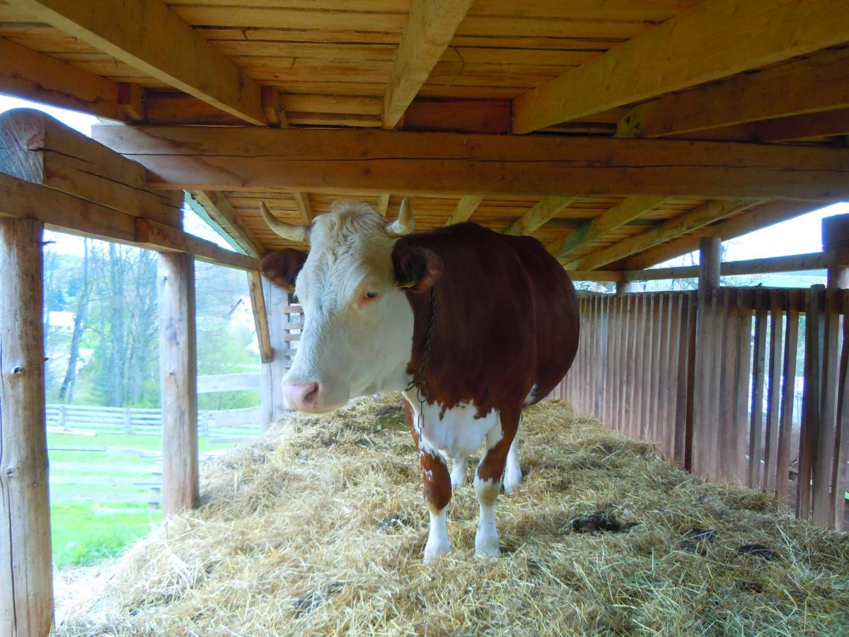 Kulturní a sociální význam biodynamického zemědělství