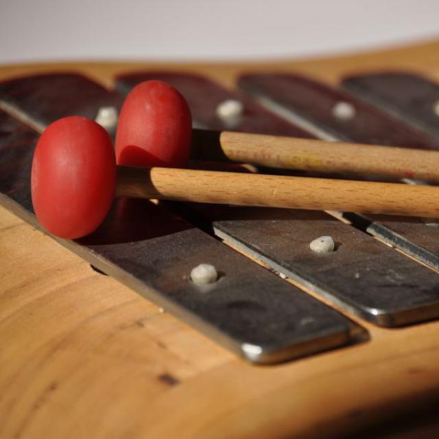 Úvod do využití muzikoterapie v sociální práci s romskou mládeží
