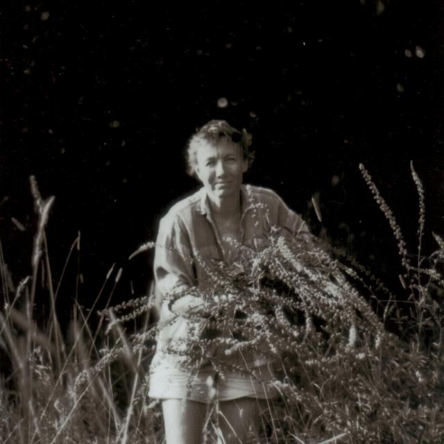 Ing. Hana Weinerová